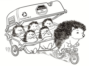 Sweet and Adorable Hedgehog Taxi Driver Transparent Stamps, 9 cm x 7 cm