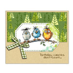 Funny Birdies Thinking of You Transparent Stamps, Stamp and Die Set (please order items separately)