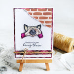 Pet Lovers Transparent Stamps, Stamp and Die Set (please order items separately)