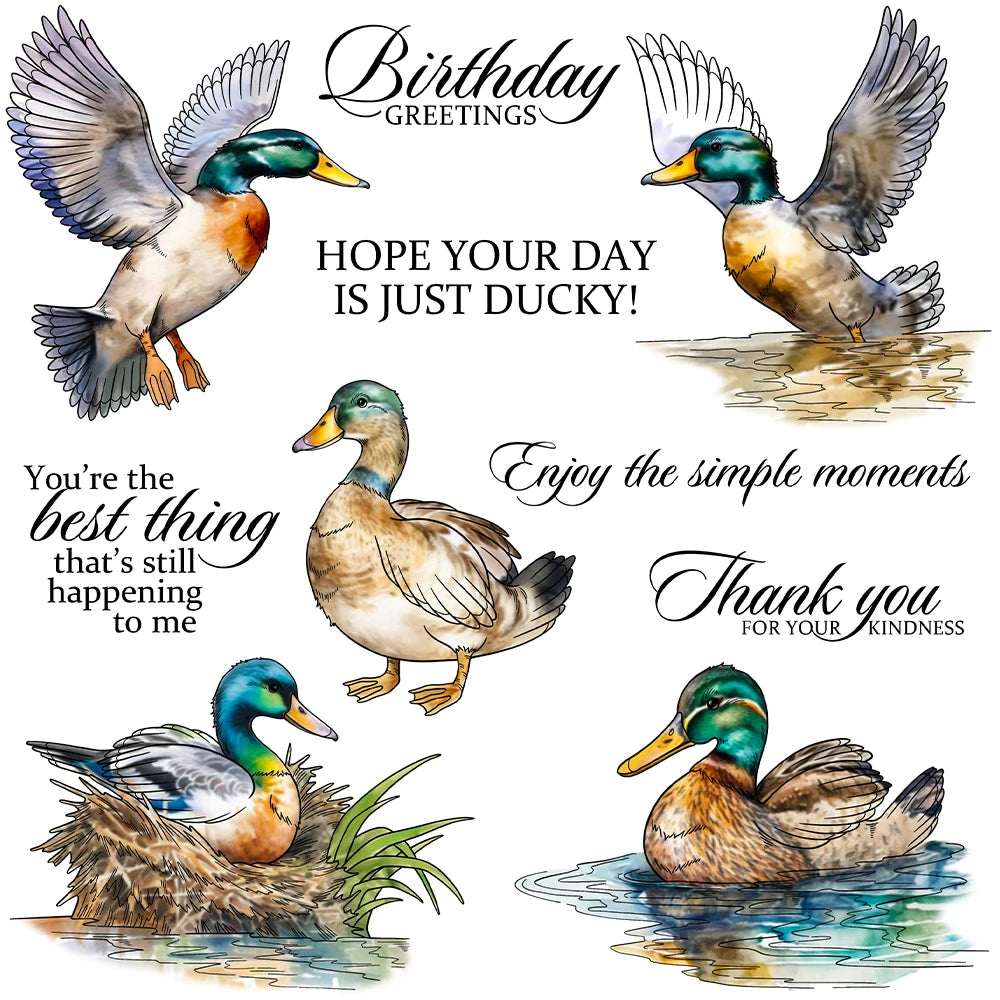 Lovely Ducky Sentiments Transparent Stamps, Stamp and Die Set (please order items separately)