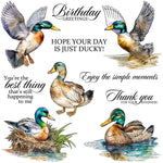 Lovely Ducky Sentiments Transparent Stamps, Stamp and Die Set (please order items separately)