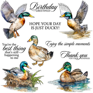 Lovely Ducky Sentiments Transparent Stamps, Stamp and Die Set (please order items separately)