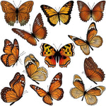 Magnificent and Versatile Butterflies Transparent Stamps