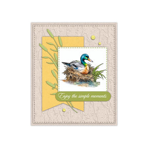 Lovely Ducky Sentiments Transparent Stamps, Stamp and Die Set (please order items separately)