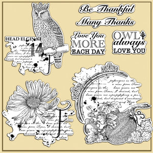 Beautiful King Owl Transparent Stamps