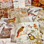 Beautiful Vintage-Style Nature Series Scrapbooking Paper, 13 cm x 13 cm, 15 Sheets