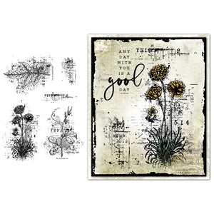 Beautiful Botanicals Transparent Stamps