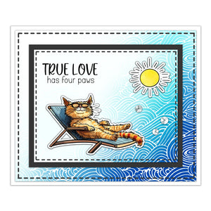 Comical Kitty Cats Who Love You Transparent Stamps, Stamp and Die Set (please order items separately)