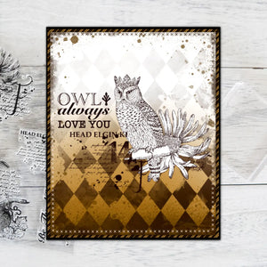 Beautiful King Owl Transparent Stamps