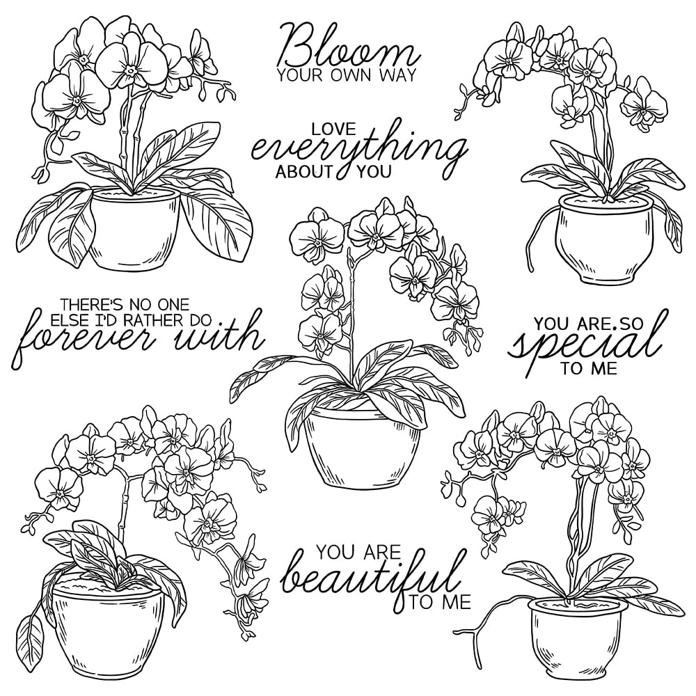 Stunning Potted Orchids Transparent Stamps, Stamp and Die Set (please order items separately)