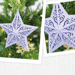 Exquisite Christmas Star Decoration Metal Cutting Die, Size on Photo