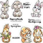 Cute Spring Whispers Of New Beginnings Transparent Stamps, Dies, Stamp and Die Set (please order items separately)