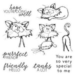 Comical Cats For You Transparent Stamps, Stamp and Die Set (please order items separately)