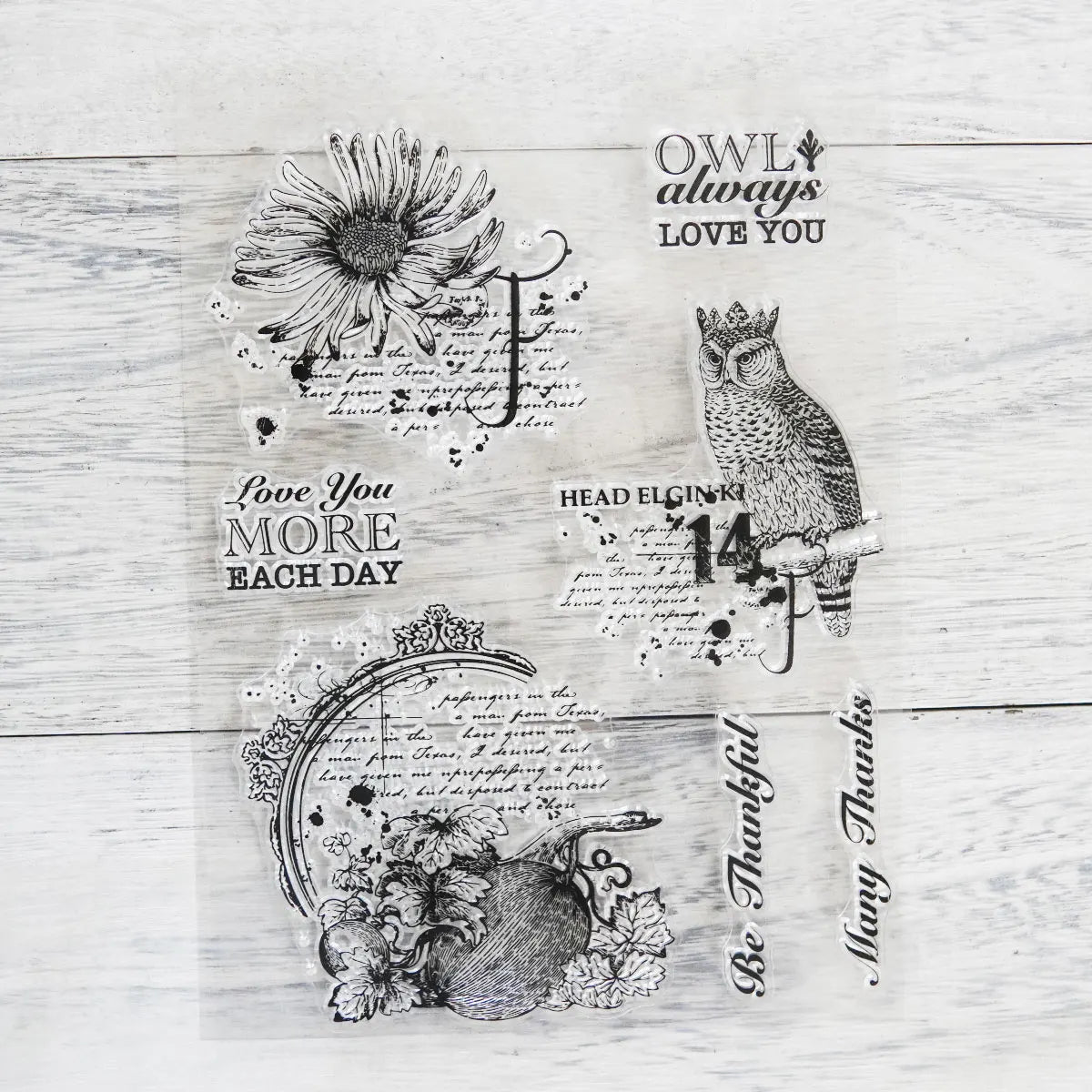 Beautiful King Owl Transparent Stamps