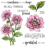 Delightful Blooms For You With Lovely Sentiments Transparent Stamps, Dies, Stamp and Die Set (please order items separately)