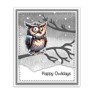 Hilarious Winter Owl Transparent Stamps, Dies, Stamp and Die Set (please order items separately)