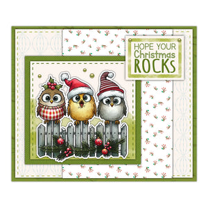 Comical Christmas Feathered Friends Transparent Stamps, Dies, Stamp and Die Set (please order items separately)