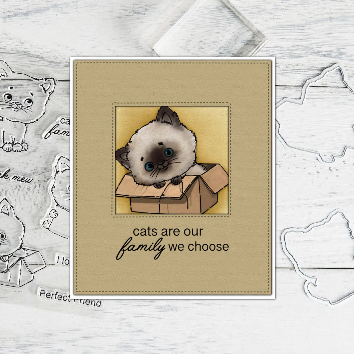 Gorgeous Kitty Transparent Stamps/Dies (please order items separately)