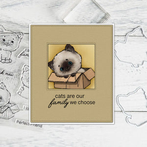 Gorgeous Kitty Transparent Stamps/Dies (please order items separately)