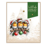 Beautiful Christmas Robins Transparent Stamps, Dies, Stamp and Die Set (please order items separately)