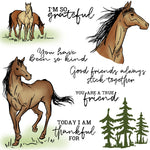 Horse Friends Transparent Stamps, Stamp and Die Set (please order items separately)