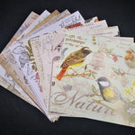 Vintage Background Creature Design Mixed Vellum Papers, 13 cm x 13 cm, 15 Pieces - Craft World 