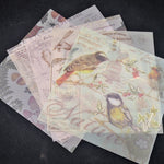 Vintage Background Creature Design Mixed Vellum Papers, 13 cm x 13 cm, 15 Pieces - Craft World 