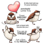 Comical Birdies Sending Wishes Transparent Stamps, Stamp and Die Set (please order items separately)