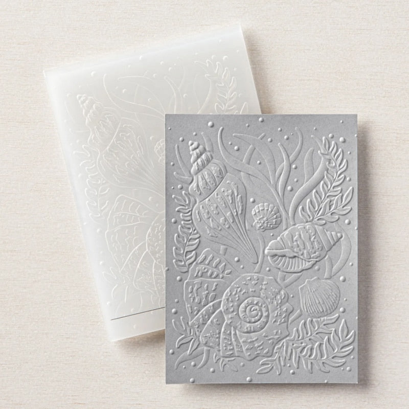 Gorgeous Seashell 3-D Embossing Folder, 16.5 cm x 11.4 cm/6.5 in x 4.5 in