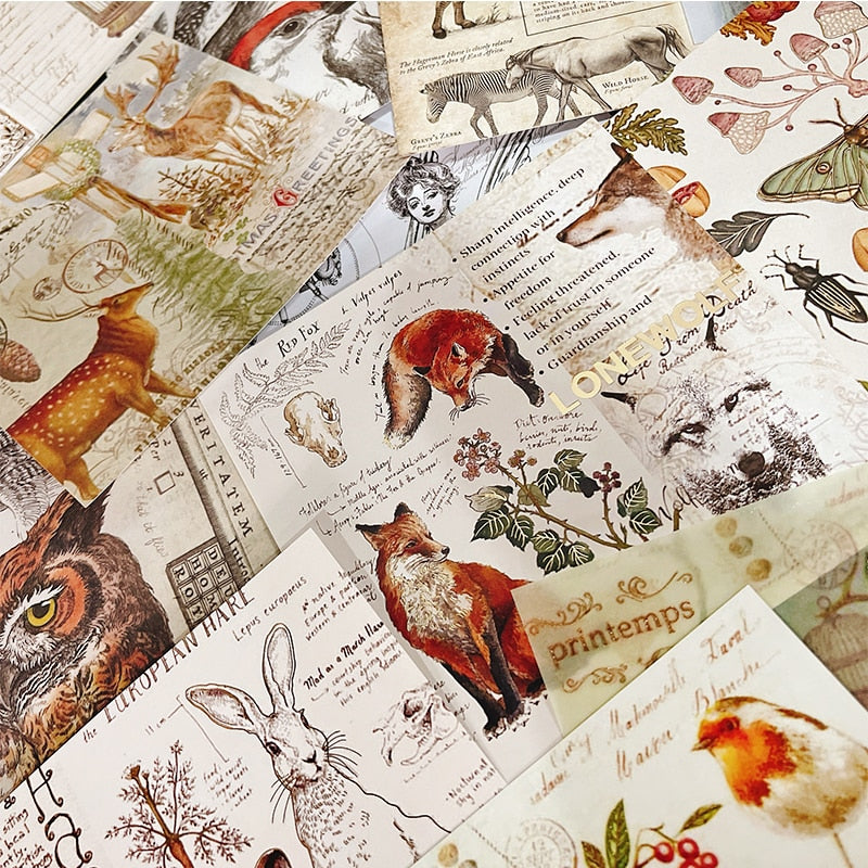 Beautiful Vintage-Style Nature Series Scrapbooking Paper, 13 cm x 13 cm, 15 Sheets