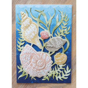 Gorgeous Seashell 3-D Embossing Folder, 16.5 cm x 11.4 cm/6.5 in x 4.5 in