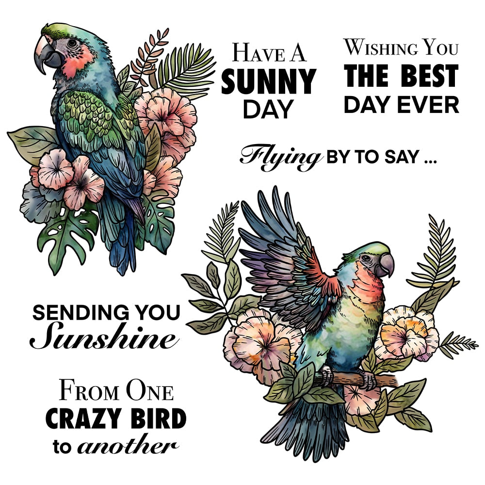 Cute Parrots Transparent Stamps, Stamp and Die Set (please order items separately)