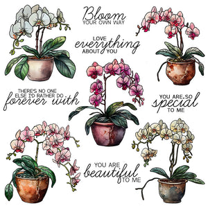 Stunning Potted Orchids Transparent Stamps, Stamp and Die Set (please order items separately)