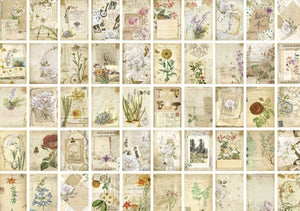 Vintage-Style Patterned Paper, Various Designs, 50 Patterns, 100 Sheets, 13.7 cm x 9.4 cm