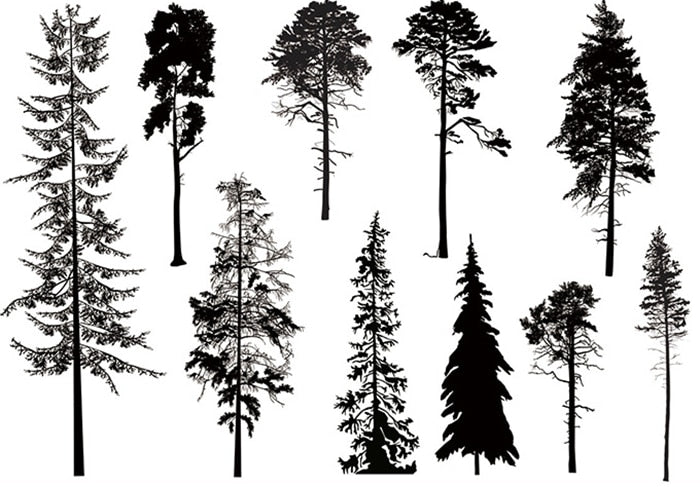 Winter Trees Transparent Stamps, 11 cm x 16 cm - Craft World