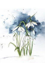 Beautiful Snowdrop Transparent Stamp, 7.5 cm x 10 cm/2.9 in x 3.93 in - Craft World 