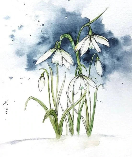 Beautiful Snowdrop Transparent Stamp, 7.5 cm x 10 cm/2.9 in x 3.93 in - Craft World 